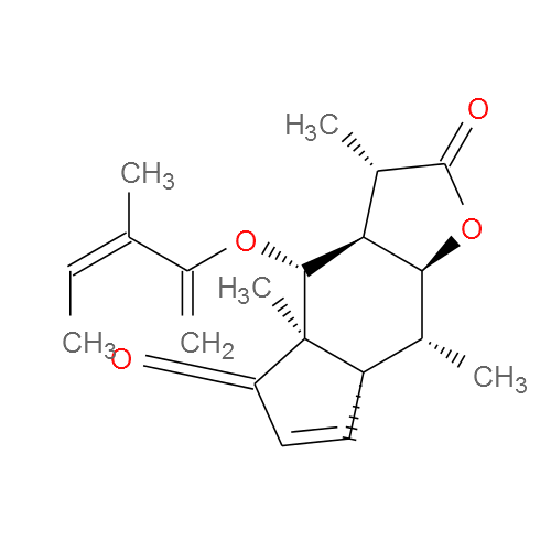 CancerHSP: Anticancer Herbs Database Of Systems Pharmacology